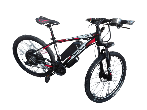 Bicicleta eléctrica Montaña - DMX Motors